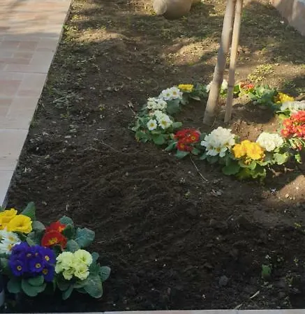 Casa Gialli Σπίτι διακοπών Κατάνια