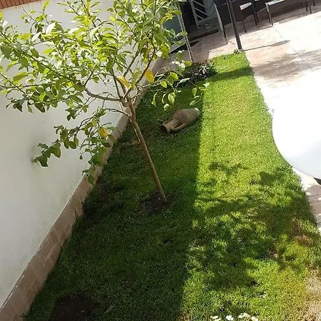 Dom wakacyjny Casa Gialli *
