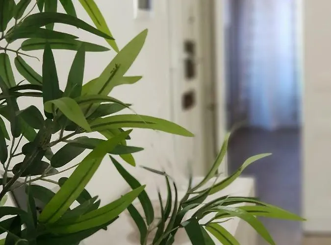 Дом отдыха Casa Gialli