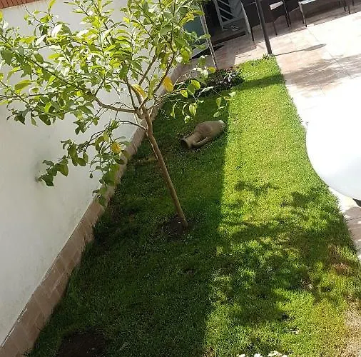 Дом отдыха Casa Gialli *